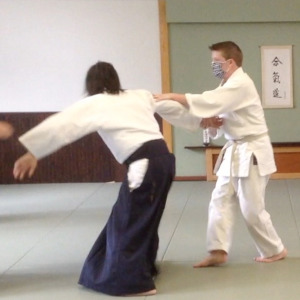 Praciting Aikido